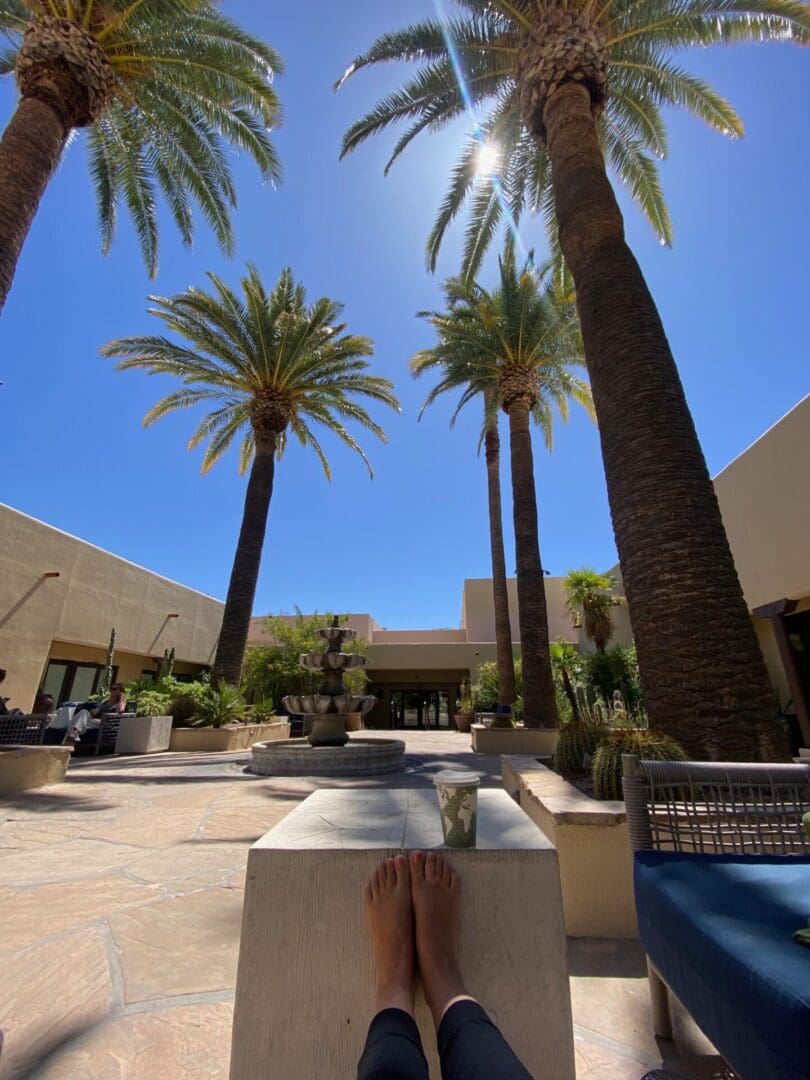 Sunny courtyard with tall palm trees and clear blue sky.