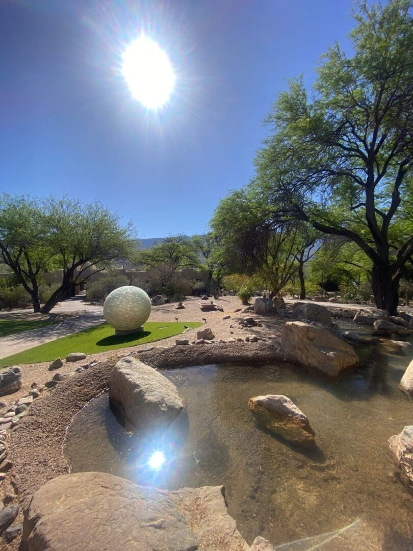 Sunny park scene with trees, a pond, and a large white sphere sculpture.