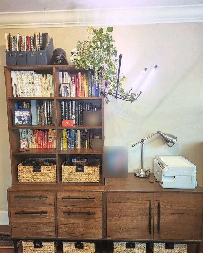 Bookshelf home office after organizing with books in neat rows and woven baskets below, San Diego