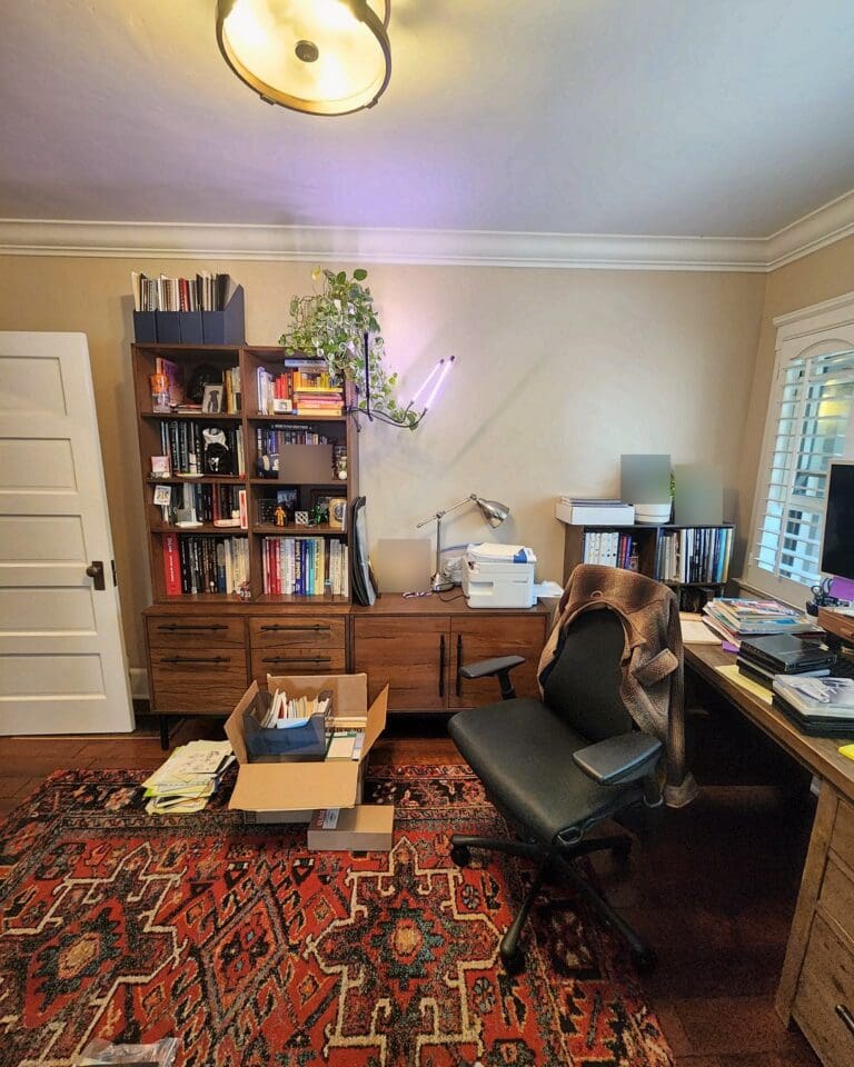 Bookshelf home office before organizing with boxes and paperwork spread across the rug, San Diego
