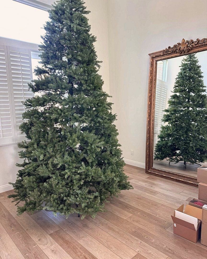 Undecorated holiday tree in a bright living room beside a gilded floor mirror, before Simply Luxe holiday decorating